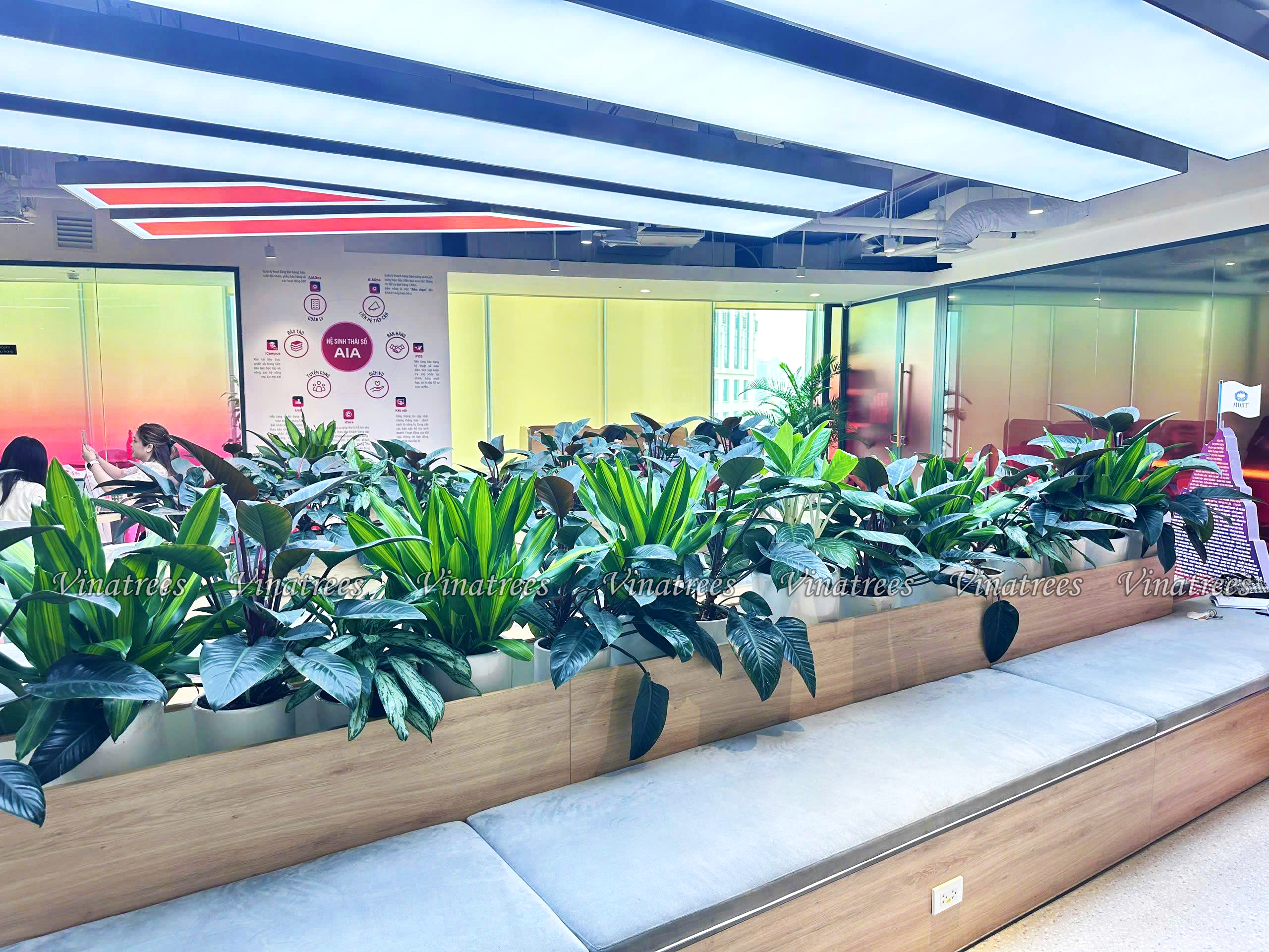 Vinatrees thiết kế cây cảnh nội thất cho tòa nhà Lotte Center ở 54 Liễu Giai Đống Đa Hà Nội